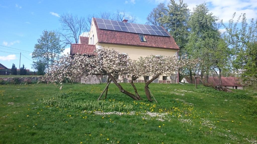Vonkajšia záhrada v ubytovaní Dworek Szarki