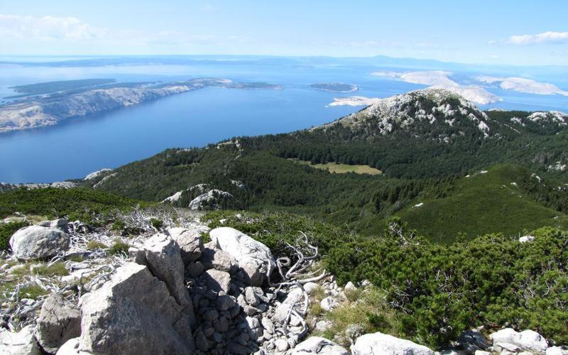 Príroda v okolí dovolenkového domu