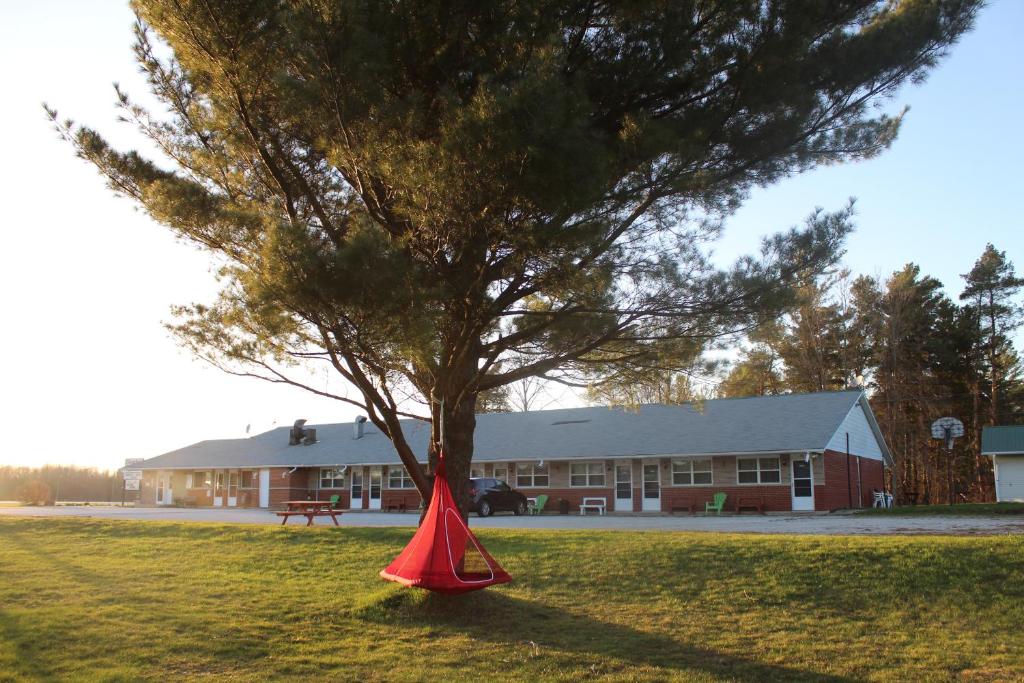 Shenstone Motor Inn photo