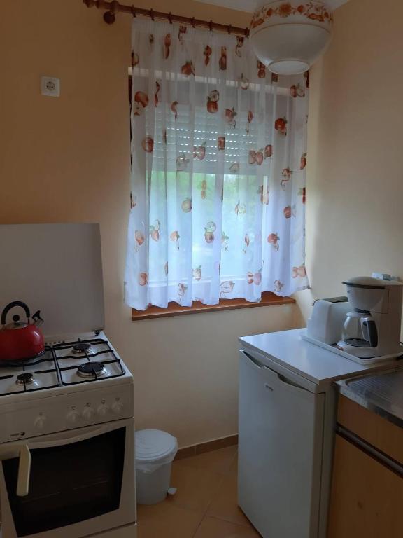 Kuchyň nebo kuchyňský kout v ubytování Pintér Apartman