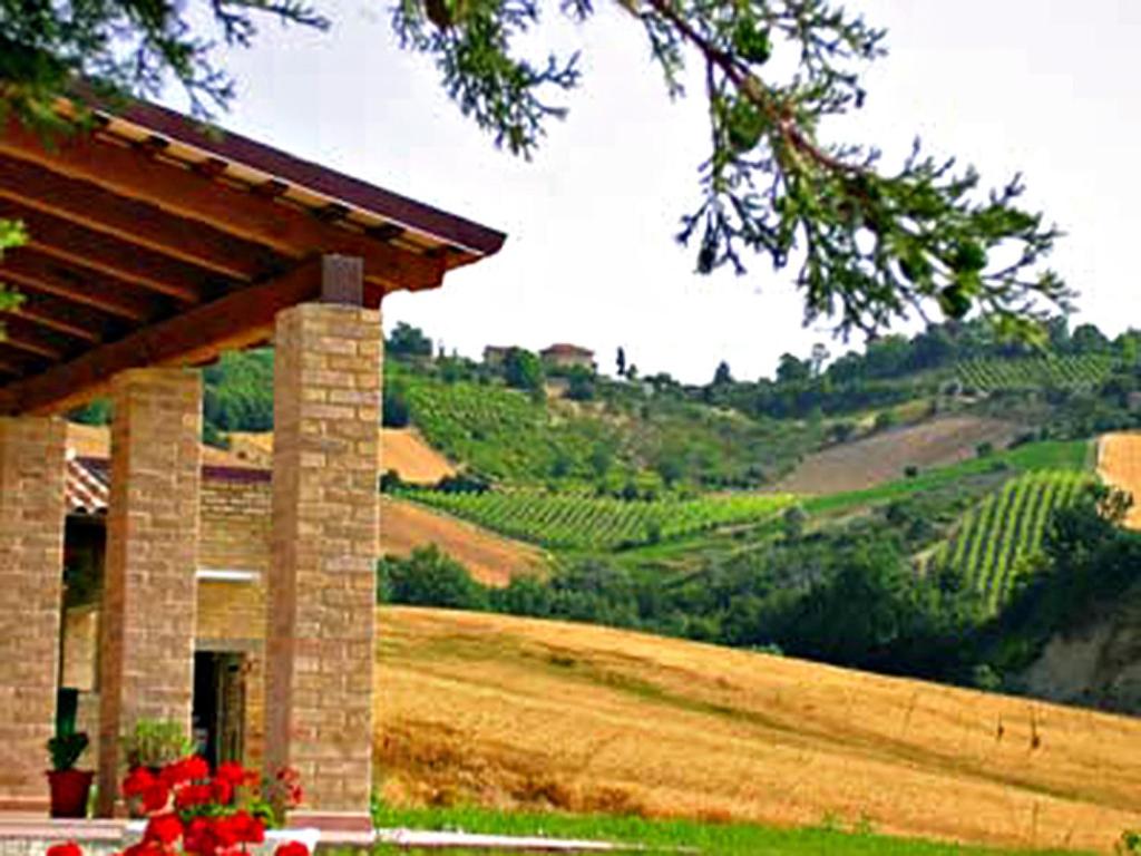 un edificio con vistas a un viñedo de fondo en Agriturismo La Cicala, en Carassai