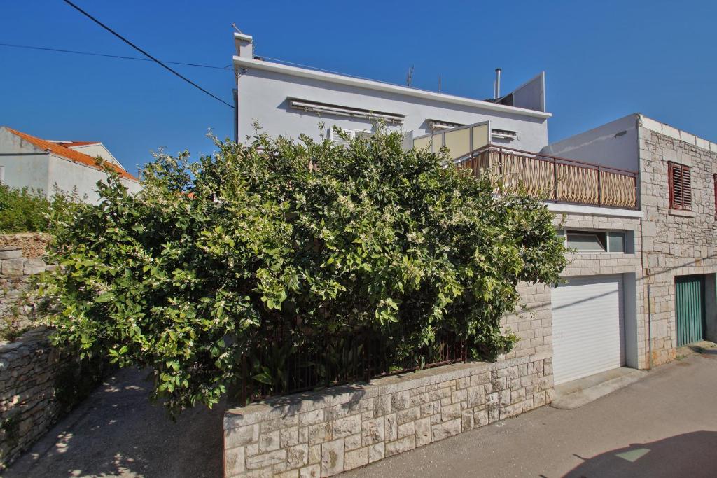 a large bush in front of a house at Studios Bačić in Vela Luka