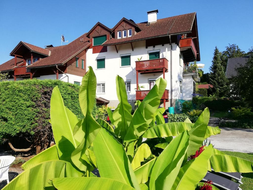 a large green plant in front of a building at Haus Friedburg in Velden am Wörthersee