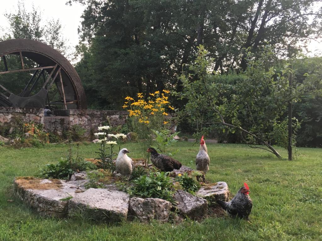 Zahrada ubytování Le Moulin de Razou