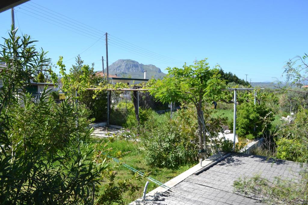 Ogród w obiekcie Corinthian Sun - Vacation Home
