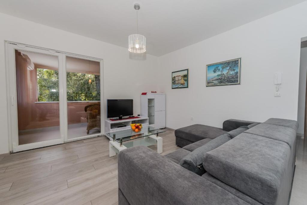 TV a/nebo společenská místnost v ubytování Apartments Basic