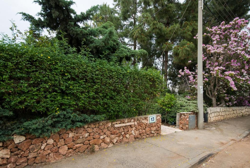 Zahrada ubytování Homey suite in Zichron Yaakov