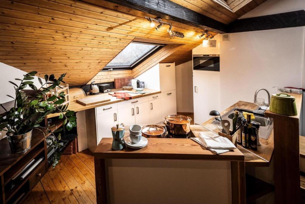 a kitchen with a wooden ceiling and a counter top at Atelier Kurt in Hinterbrühl