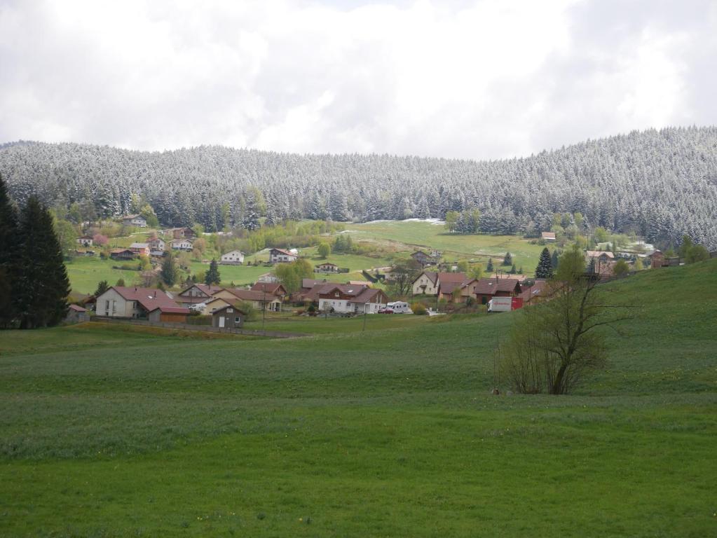 Příroda nedaleko chaty