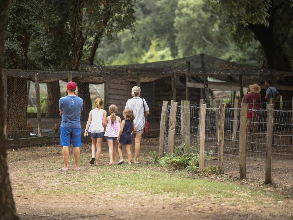 Derechos de imagen reservados por Booking.com