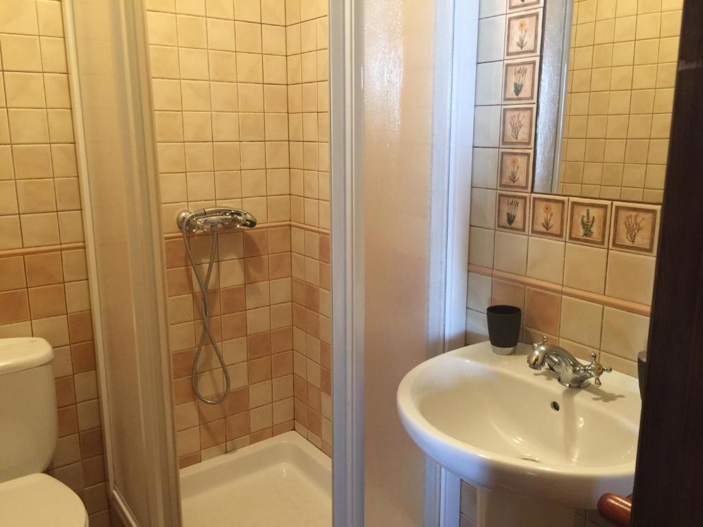 a bathroom with a sink and a toilet and a shower at El Corral de Dolores in El Bosque