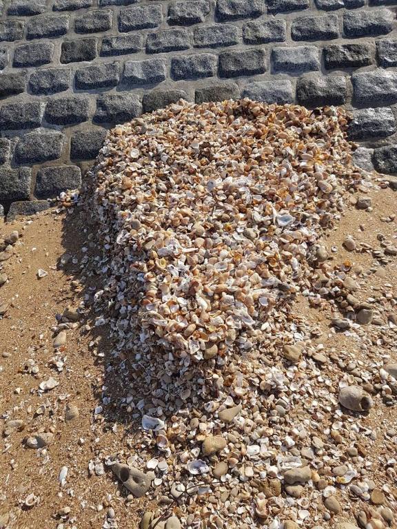 a pile of rocks on the ground next to a brick wall at Appartement Ré (4 personnes) in Châtelaillon-Plage