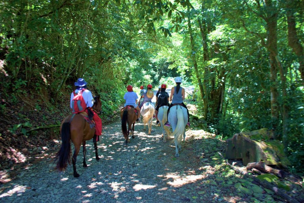 Hosté ubytování Adventure Park & Hotel Vista Golfo
