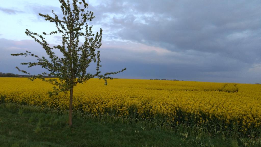 Příroda nedaleko apartmánu