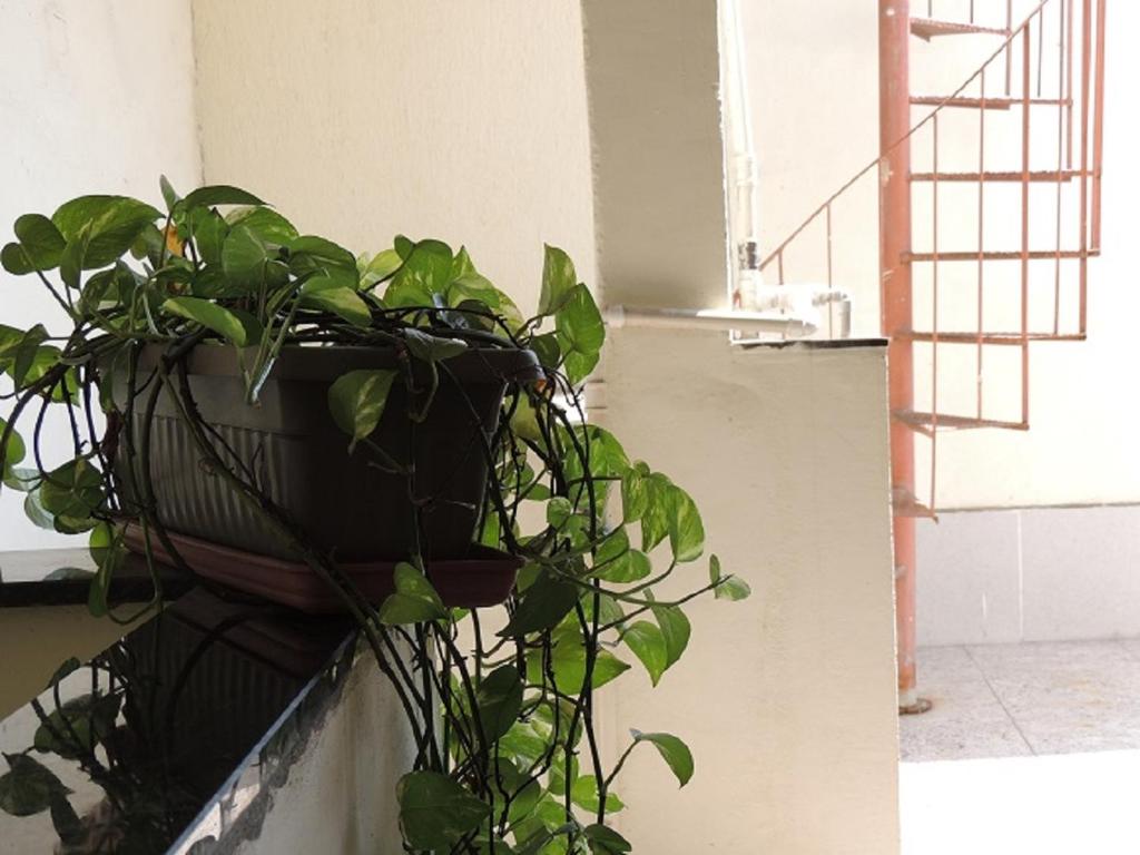  Quartos Em Casa Caxias - Pousada Paraíso