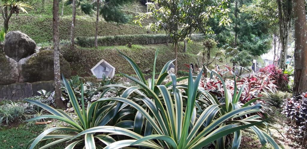 Villa Bukit Awan