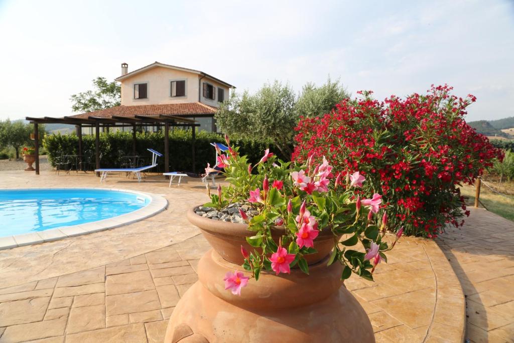 a pot of flowers next to a swimming pool at Agriturismo Casale Sasso in Cerveteri