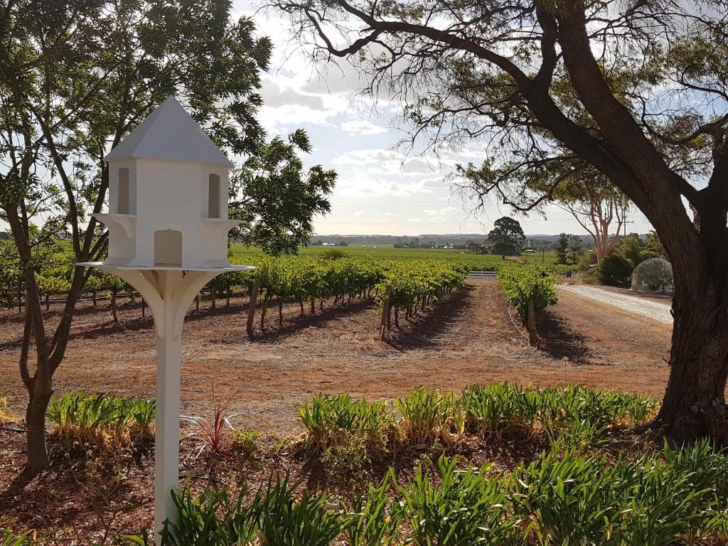 a white bird house in the middle of a vineyard at 'In The Vines' Guest Cottage, Barossa Valley in Lights Pass