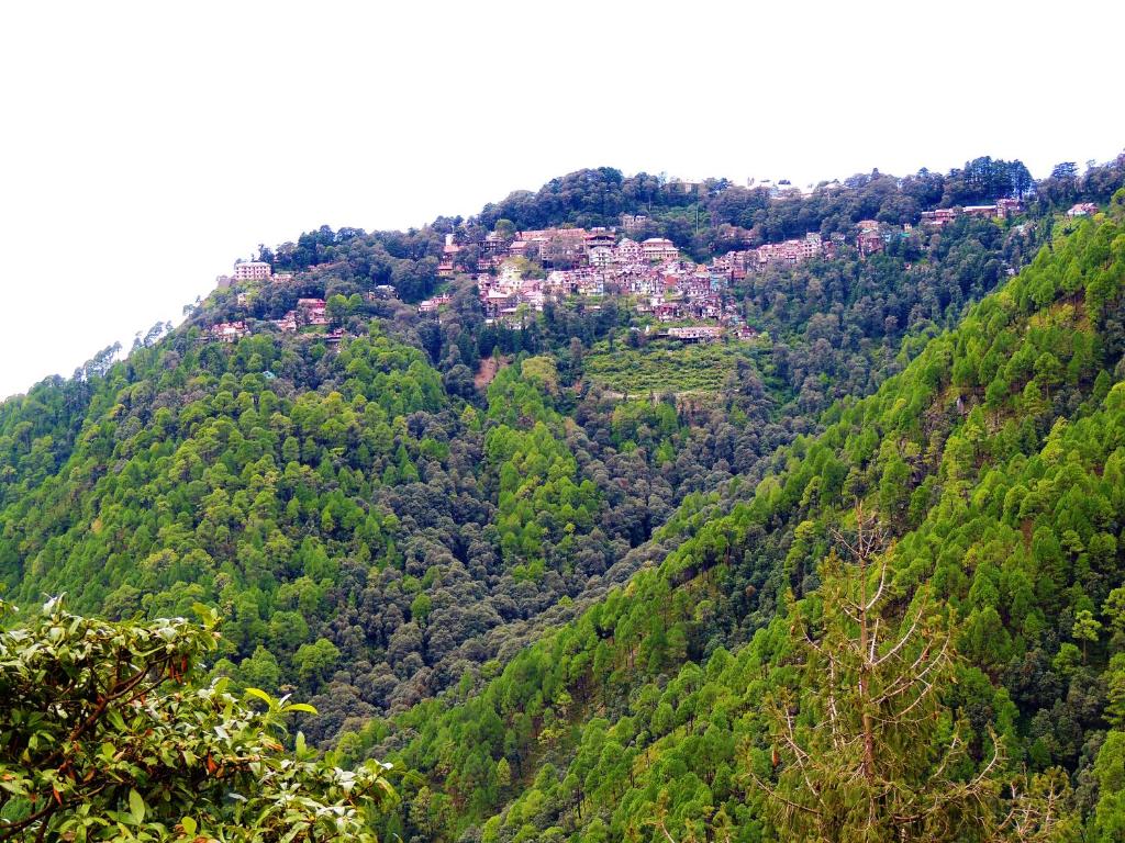 Peaceful Dalhousie - 山景家庭房