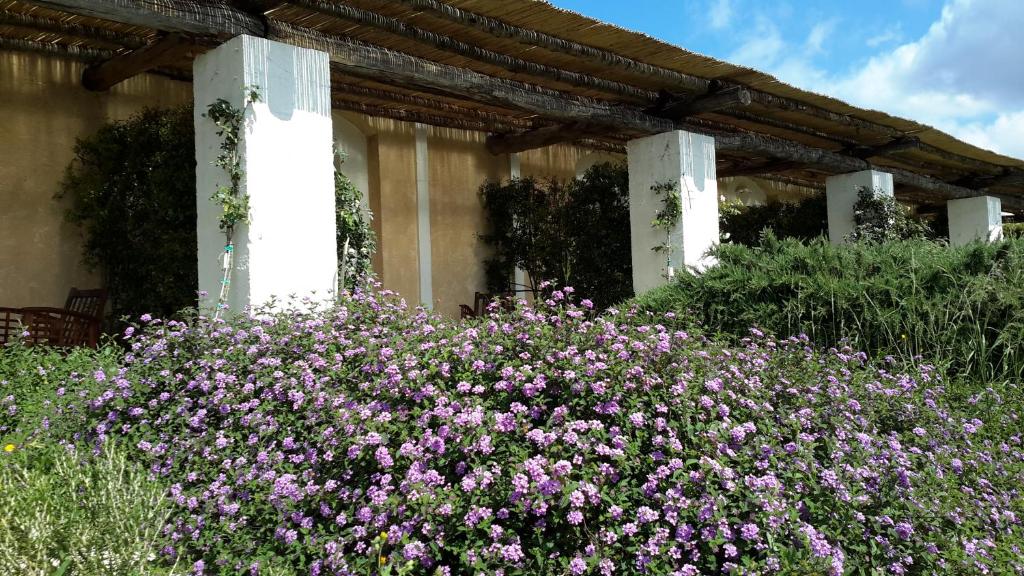 Zahrada ubytování Masseria L'Antico Frantoio