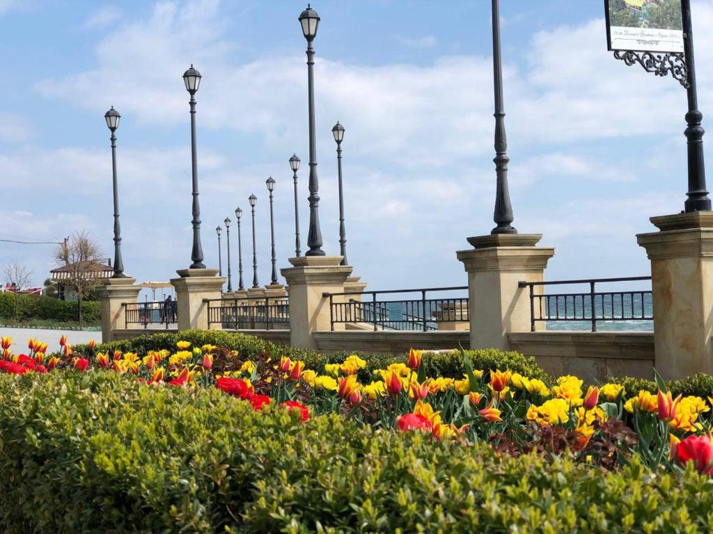 Apartment Zolotoy Bereg 5 - One-Bedroom Apartment With City View