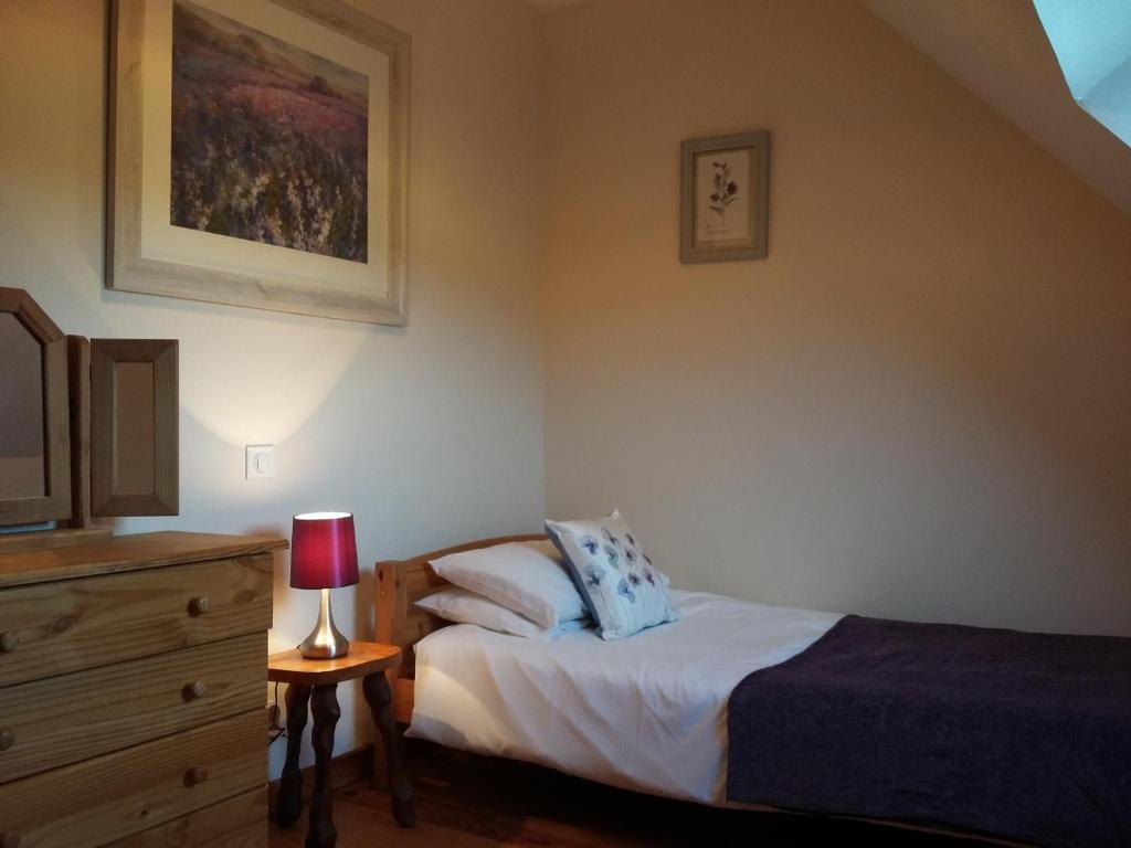 a bedroom with a bed and a dresser with a lamp at La petite grange, La vieille ferme in Ruffiac