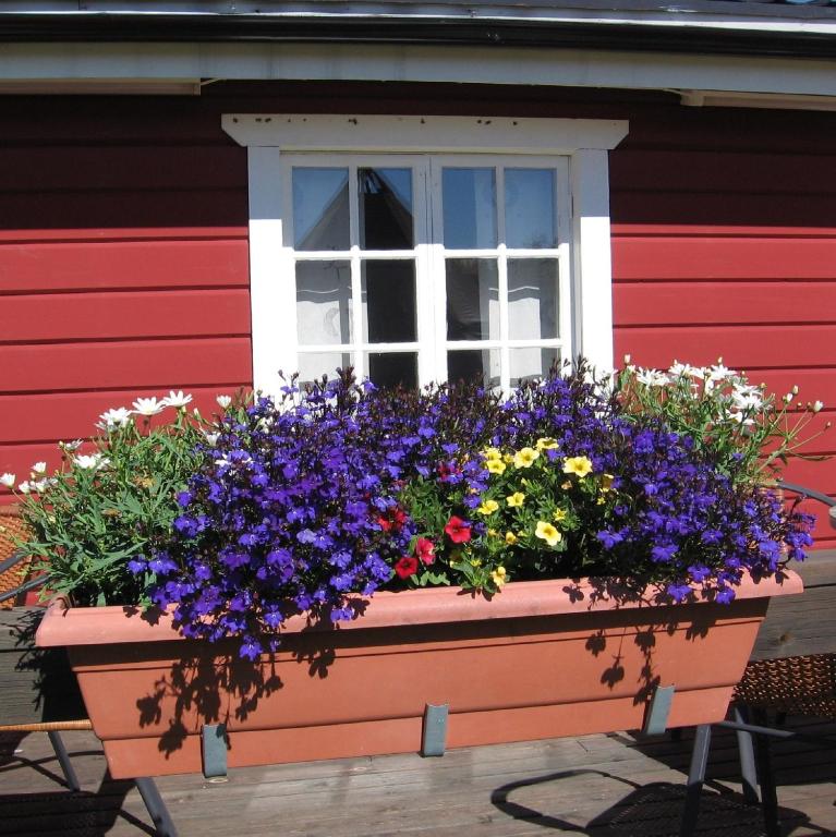 Zahrada ubytování Lappeasuando Lodge