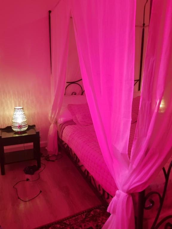 a pink bedroom with a bed with a canopy at 23 Rue de la République in Gérardmer