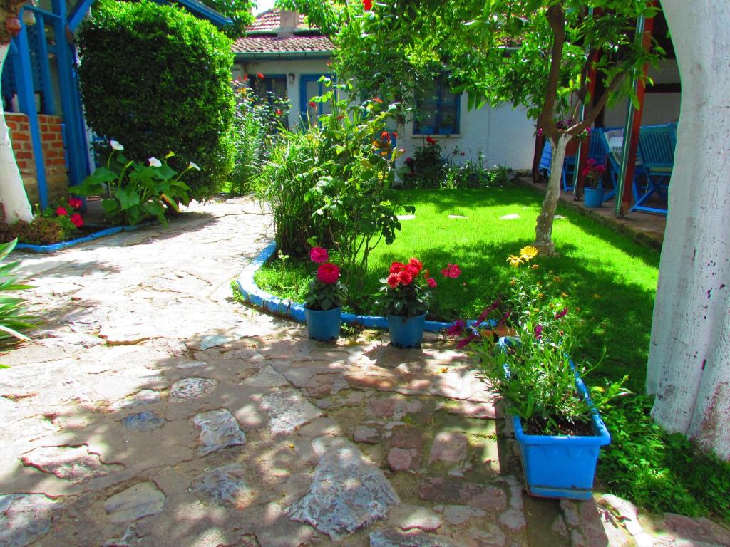 a garden with three potted plants in a yard at Amazon Antique in Selçuk