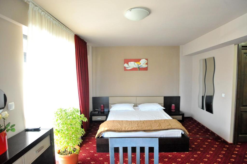 Pensiunea Novis - Double Room