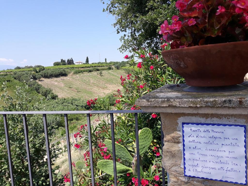 A garden outside Casa Del Leone Rosso e Welness a due passi dalla Costa dei Trabocchi