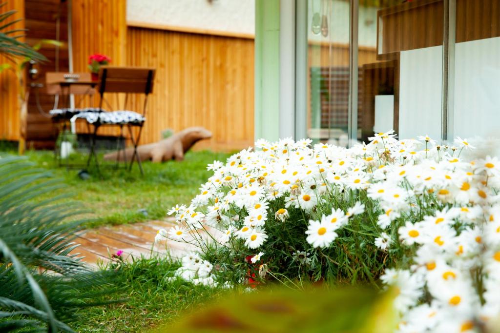 Zahrada ubytování The Suite Apart Hotel