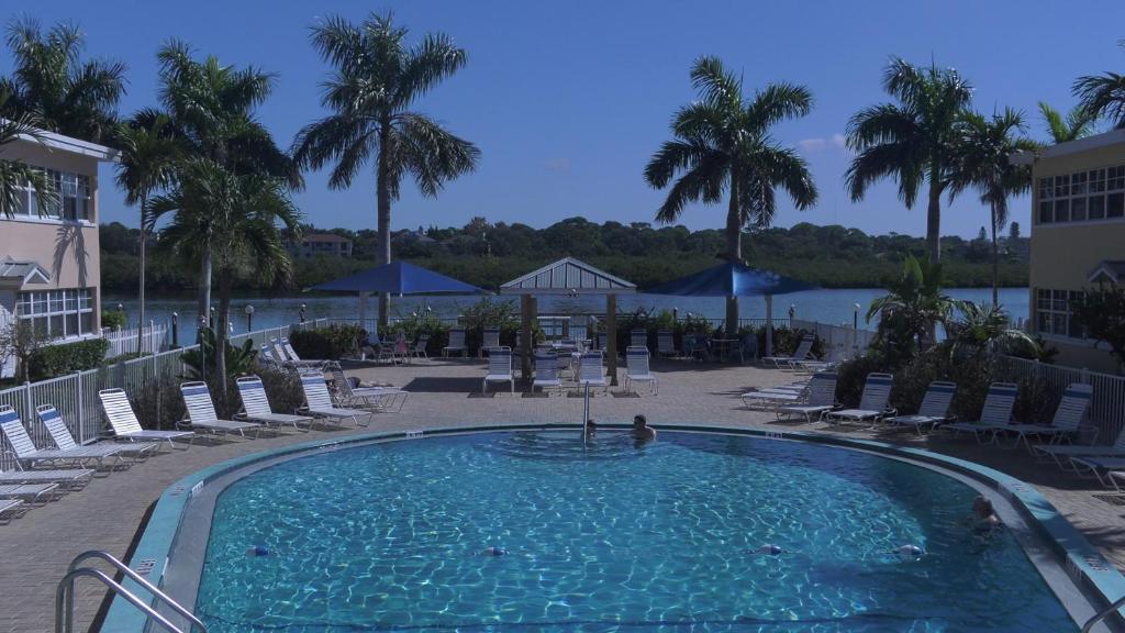 une grande piscine avec des chaises et des palmiers dans l'établissement Barefoot Beach Resort, à Clearwater Beach