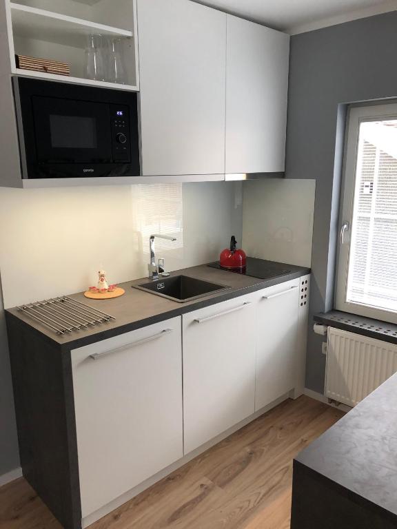 Kuchyň nebo kuchyňský kout v ubytování Apartments ViTa