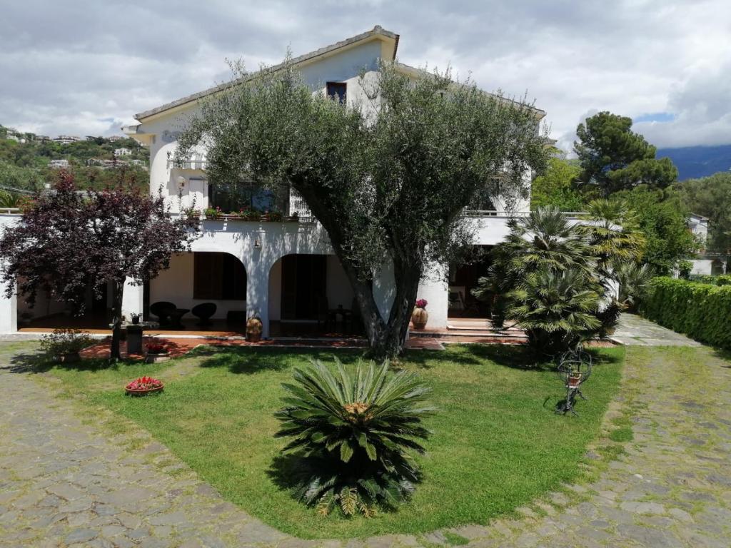 une maison blanche avec un arbre dans la cour dans l'établissement Villa Livia, à Villammare