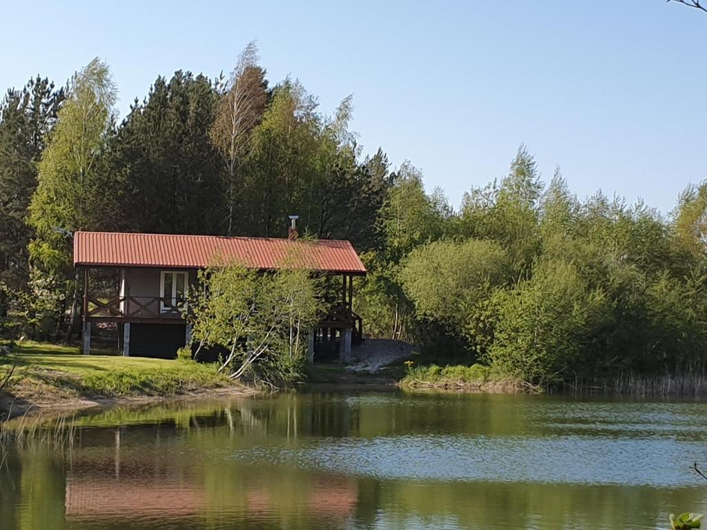 a cabin with a red roof next to a lake at Idorelax in Bajorai