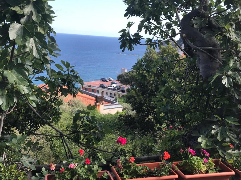 a view of the ocean from a garden with flowers at Casa del sasso in Bergeggi
