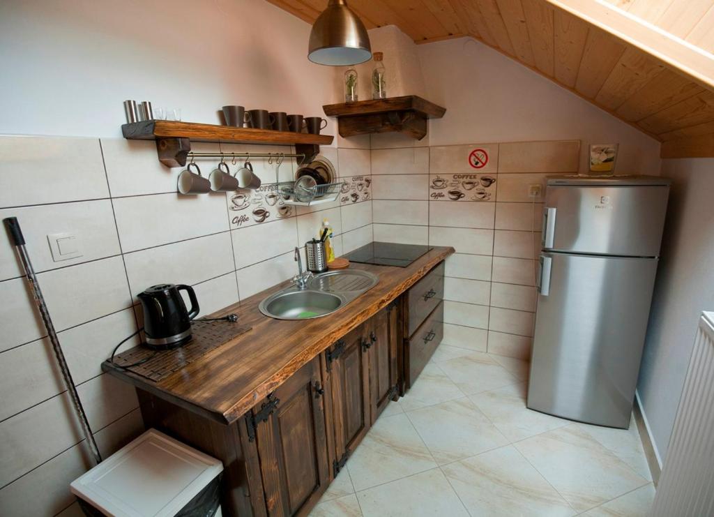 una piccola cucina con lavandino e frigorifero di Pokoje u Danusi a Szczawnica