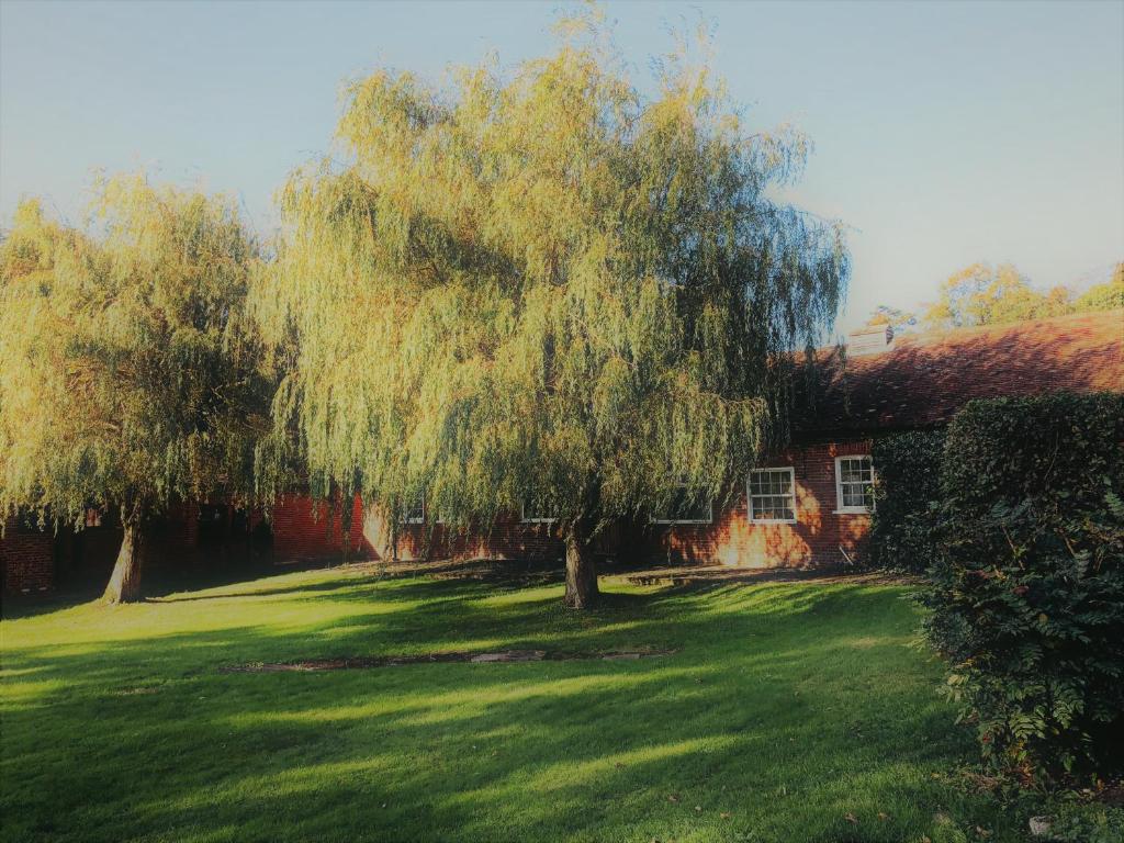 a tree in a yard next to a house at Beachborough Park in Folkestone