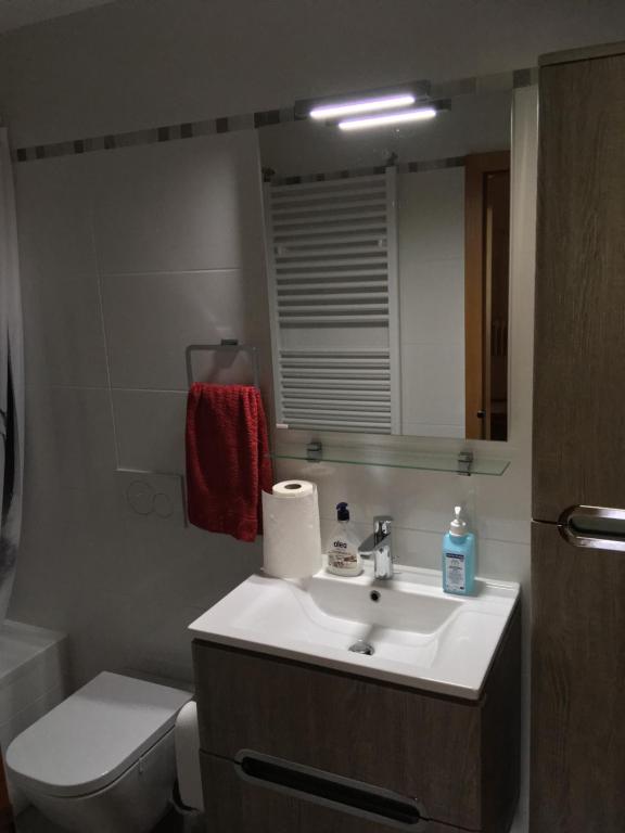 Ванна кімната в Apartma Gaby