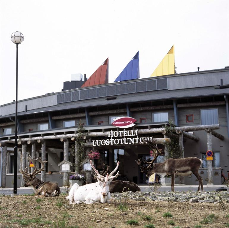 Fotografie z fotogalerie ubytování Lapland Hotels Luostotunturi & Amethyst Spa v destinaci Luosto