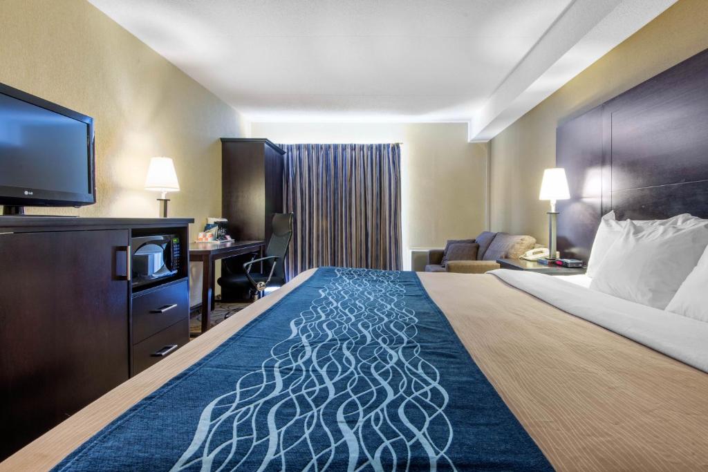 Comfort Inn photo