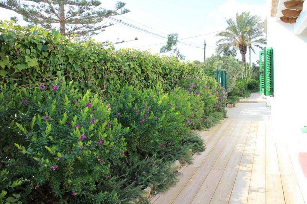 A garden outside Es Daus - Formentera Break