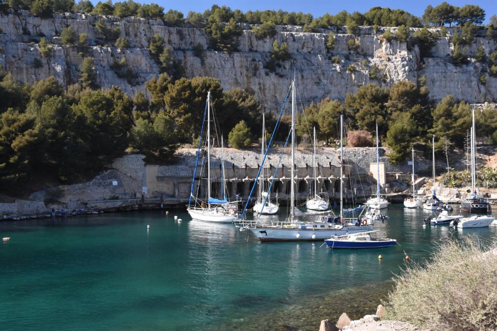 a group of boats are docked in the water at Cassis Lodges in Cassis