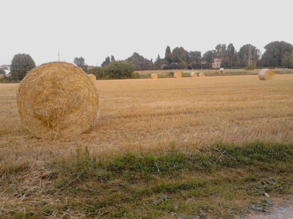 Fotografie z fotogalerie ubytování Green Fields v destinaci Padova