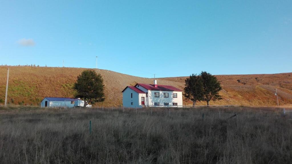 a house in a field next to a hill at Thorbrandsstadir Farm Holidays in Þorbrandsstaðir