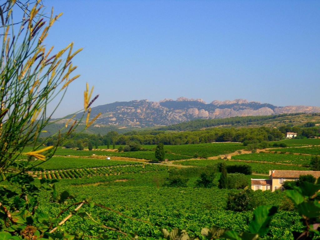 uma vista para uma vinha com montanhas ao fundo em La Dentellière em Saint-Hippolyte-le-Graveyron