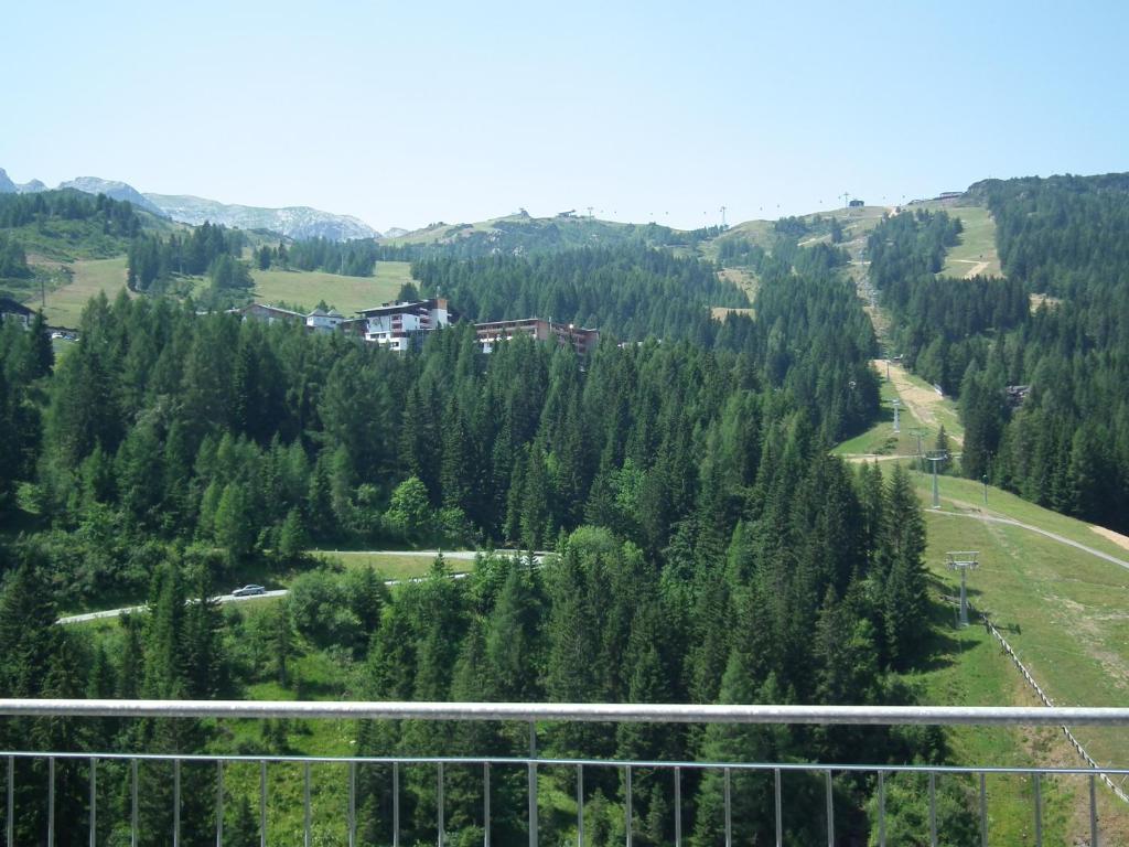 Příroda nedaleko apartmánu