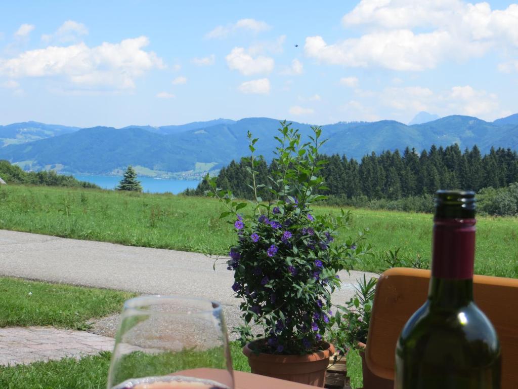Paesaggio naturale nelle vicinanze dell'appartamento