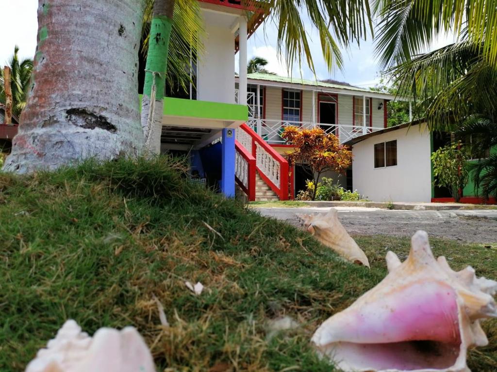 a starfish laying on the grass in front of a house at Posada Valerie in Providencia